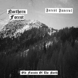Northern Forest : Old Forests of the North